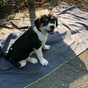 Meet your Posher, Chris